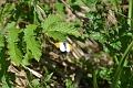 12 05 12_0671_edited-1